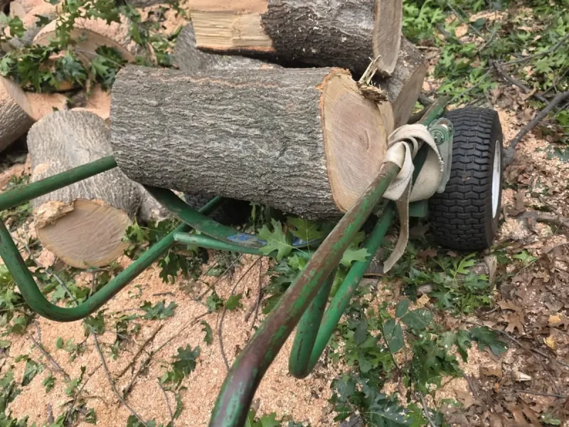 General Tree Services (20)