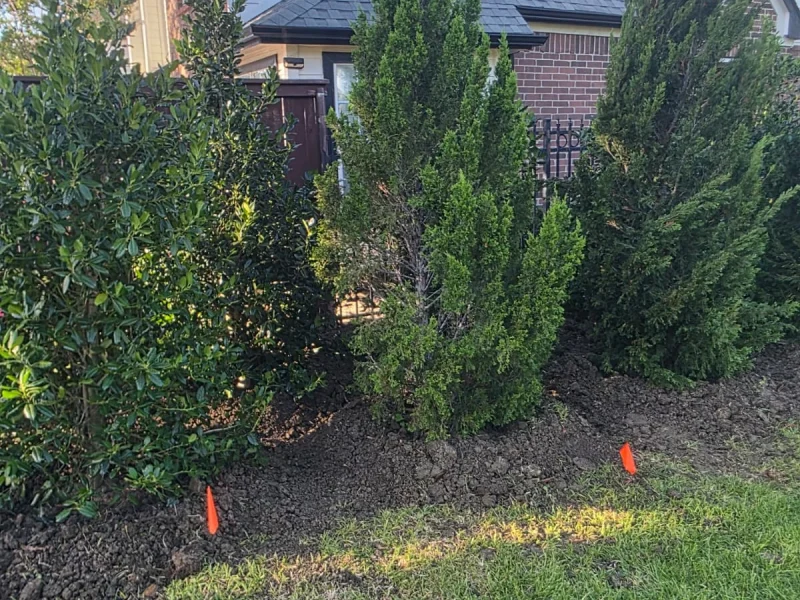Planting (5)