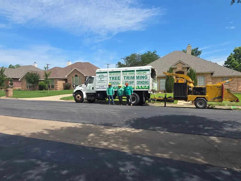 RT TORRE'S LAWN SERVICE LLC. ad (6)